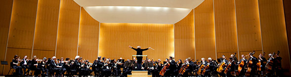 Falletta conducting the Buffalo Philharmonic